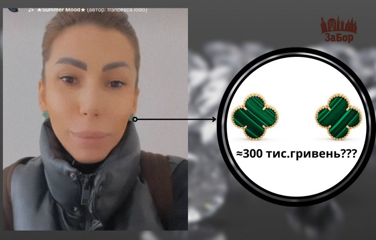 Очередное заявление зама экс-главы Запорожской области и скандал с серьгами (фото, видео)